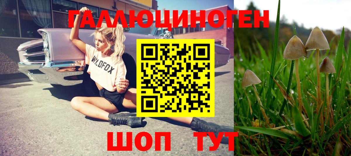 Псилоцибиновые грибы прущие грибы Выборг