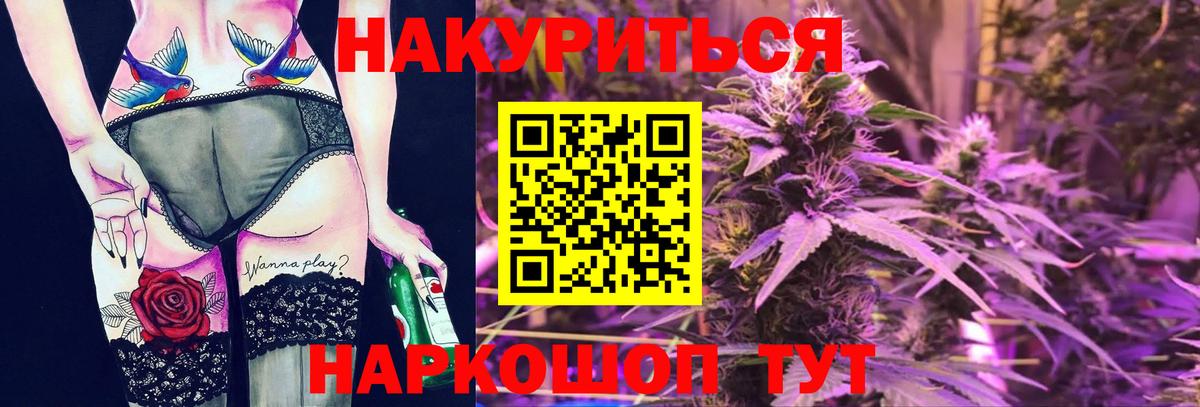 Бошки Шишки планчик  Марихуана планчик  Выборг  Конопля марихуана  Вход с VPN 